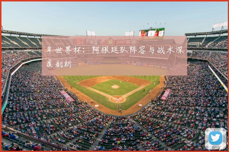 年世界杯:阿根廷队阵容与战术深度剖析