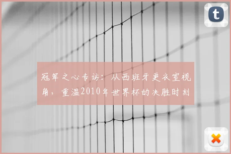 冠军之心专访：从西班牙更衣室视角，重温2010年世界杯的决胜时刻
