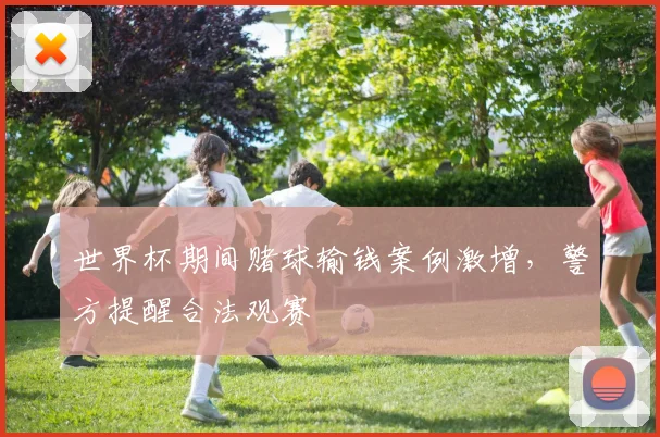 世界杯期间赌球输钱案例激增,警方提醒合法观赛
