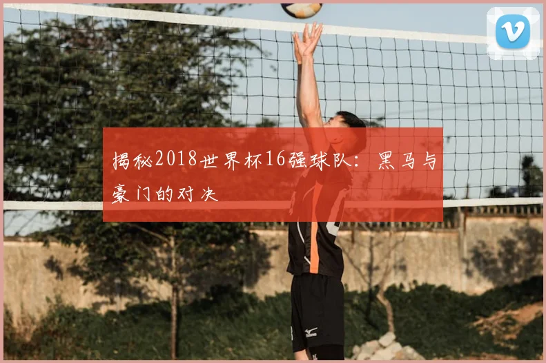 揭秘2018世界杯16强球队：黑马与豪门的对决