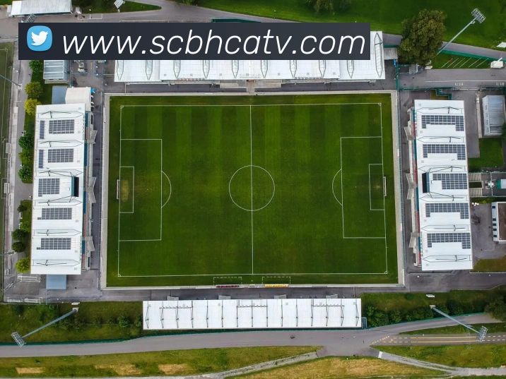 开云手机在线登录界面APP 封面图